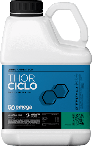 Thor Ciclo